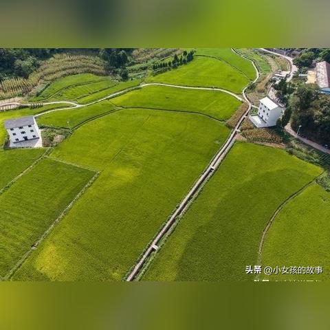 河北大暴雨最新通知(河北大暴雨最新通知为什么解除了) 河北大暴雨最新通知(河北大暴雨最新通知为什么解除了)