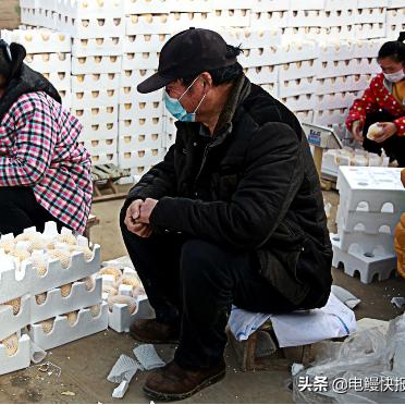砀山明日多云转晴，果农抢抓农时盼丰收