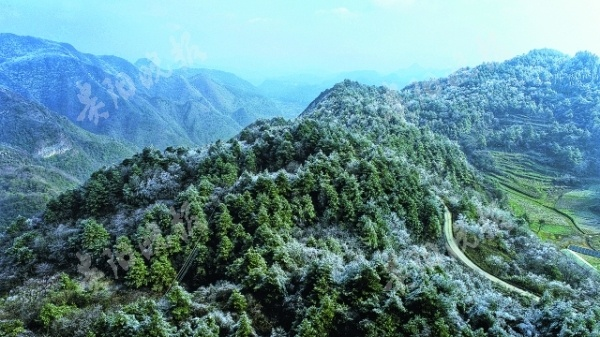 贵州天气预报，一场与山间云雾的温柔对话
