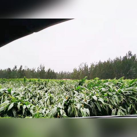 台风最新1小时消息今天，强风暴雨逼近，多地进入紧急防御状态