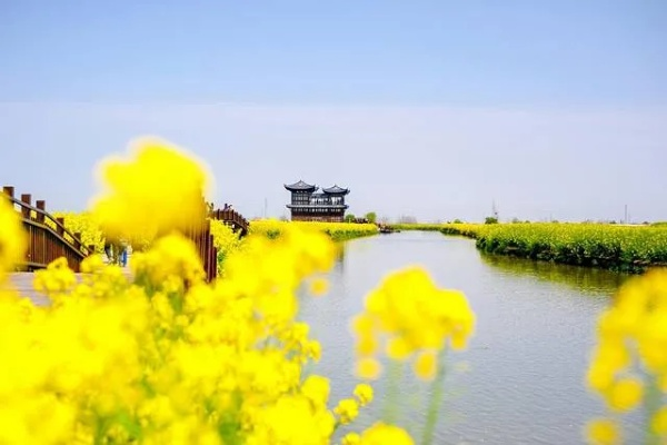 兴化天气预报，水乡天气里的生活智慧
