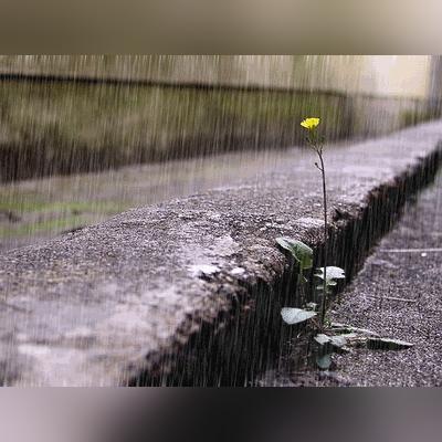 长沙的雨，总在天气预报之外