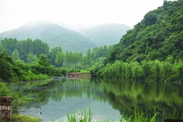 豫南春色，信阳天气里的诗意与生活