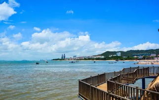 山东青岛天气，海风里的四季诗篇