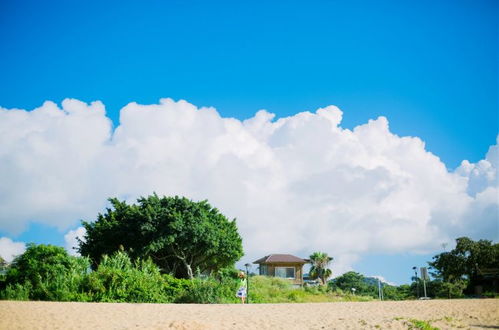 山东青岛天气，海风里的四季诗篇