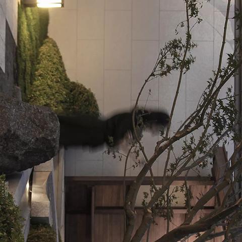 大连天气查询,山海间的气候密码,你读懂了吗? 大连天气查询,山海间的气候密码,你读懂了吗?
